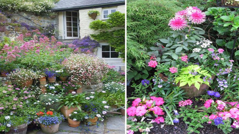 Blooming Beauty: Summer Flowers in Garden Pots Add Vibrance to Your Outdoor Space