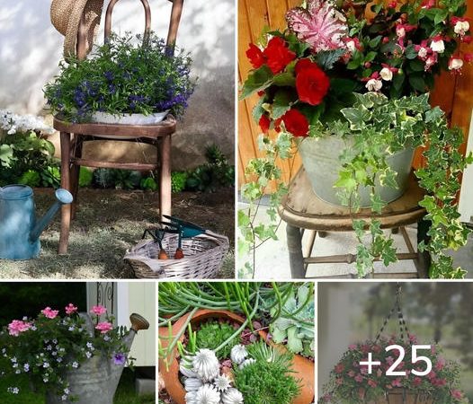 The most beautiful places and ideas to plant flowers in the yard or garden of your home