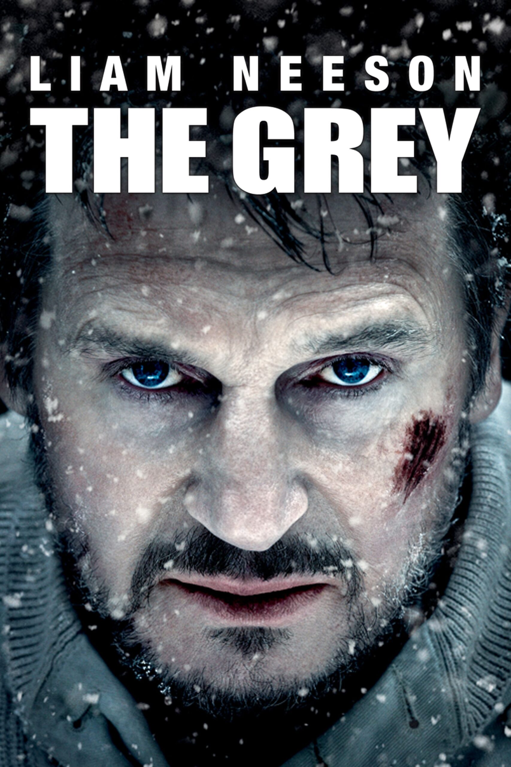 The Grey (2011): A Tale of Survival and Existential Struggle