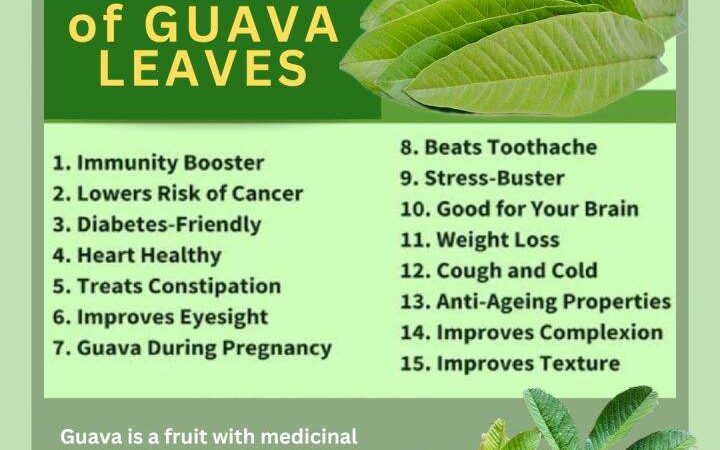 Unlock the Health Benefits of Guava Leaves: From Digestion to Skin Care